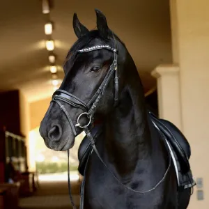 Halter Ego 'Calisa' Patent Snaffle Bridle