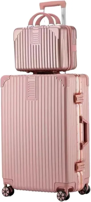 Light Suitcase 2 Piece Luggage Sets With Spinner Wheels Password Lock Hardside 14in Cosmetic Case Wheeled Luggage (Color : Pink, Size : 24in)