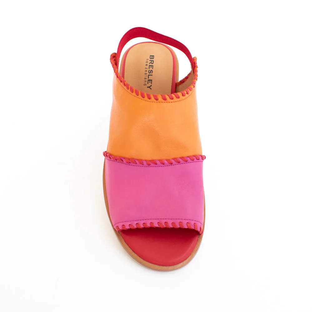 Serenade Fuchsia Multi